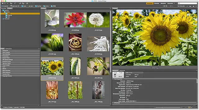 Resized preview panel. Image © 2015 Photoshop Essentials.com