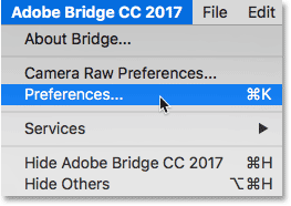 Abra las preferencias de Adobe Bridge.