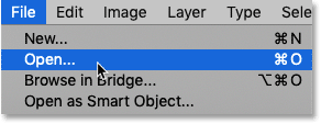 Select the Open command from the File menu.