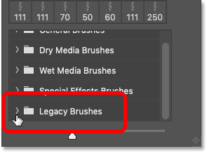 التدوير افتح مجلد Legacy Brushes في Photoshop