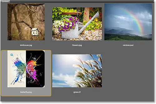 Double-cliquez sur la vignette du fichier PNG dans Bridge.
