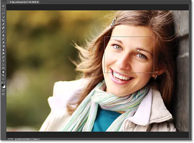 Используйте вид с высоты птичьего полета в Photoshop, чтобы выбрать область для увеличения.