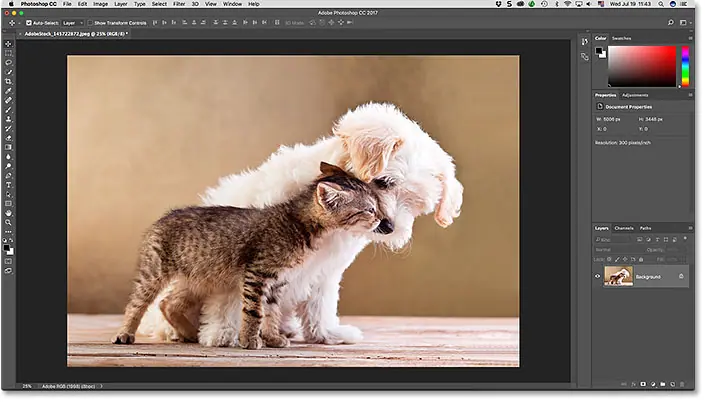 واجهة Adobe Photoshop.