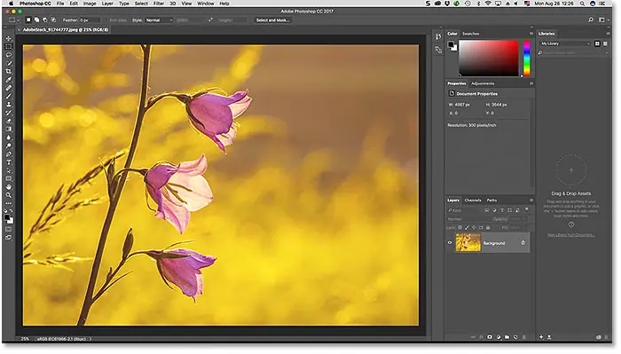 El espacio de trabajo predeterminado de Essentials en Photoshop. Imagen con licencia de Adobe Stock.