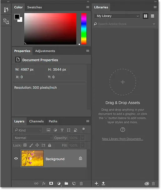 Paneles incluidos en el espacio de trabajo predeterminado de Essentials en Photoshop.