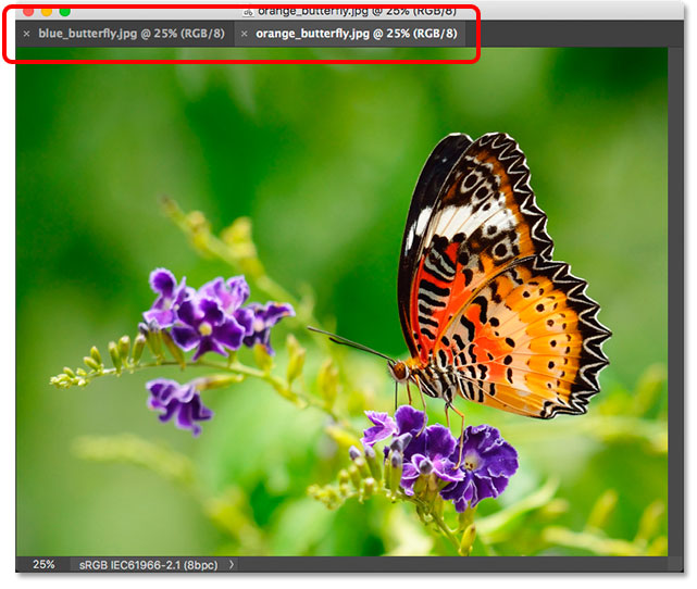 Two images pinned together as tabs within a floating window. Image © 2013 Photoshop Essentials.com