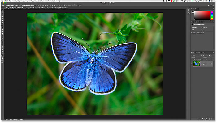 عرض صورة مختلفة مفتوحة بعد النقر فوق علامة التبويب الخاصة بها في Photoshop. صورة مرخصة من Adobe Stock