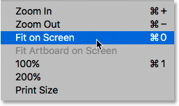 Fit on Screen option under the View menu.