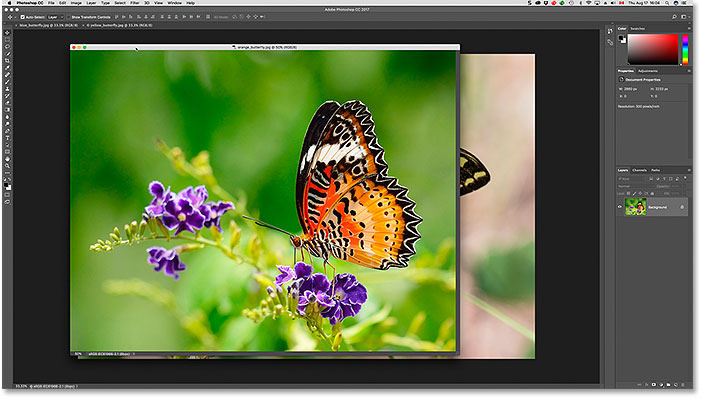 نافذة مستند عائمة في Photoshop CS6. صورة © 2013 Photoshop Essentials.com