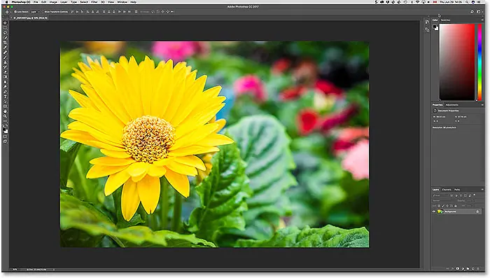 Adobe Photoshop with one image currently open. Image copyright Steve Patterson.