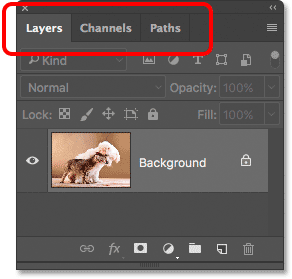 مجموعة لوحات في Photoshop تحتوي على لوحات Layers و Channels و Paths.