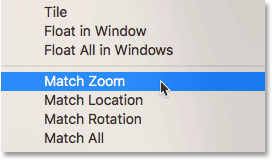 Match Zoom command in Photoshop