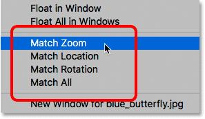 Match zoom, match position, match rotation, and match all options in Photoshop.
