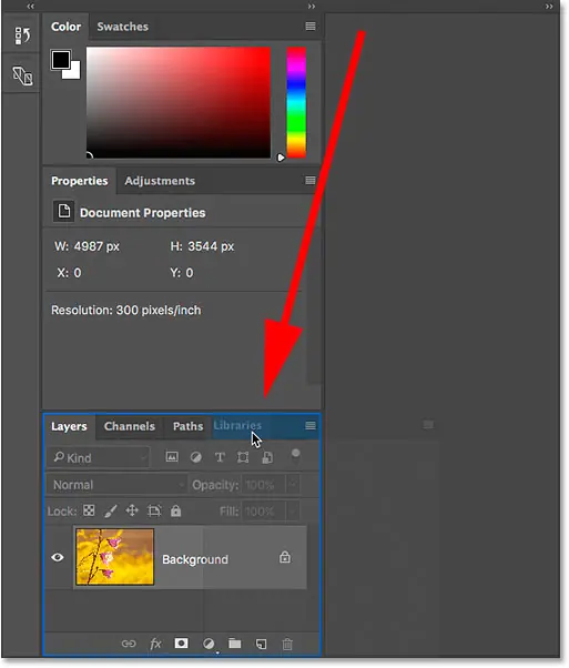Drag the Libraries panel into the Layers, Channels, and Paths panel group in Photoshop.