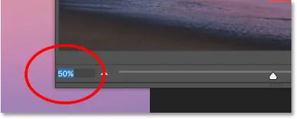 Измените уровень масштабирования в левой нижней части панели «Навигатор».