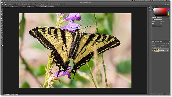 Tres imágenes abiertas como documentos con pestañas en Photoshop. Imagen con licencia de Adobe Stock.