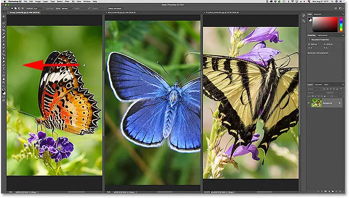 Move the image to the left to center the subject in the document window in Photoshop.