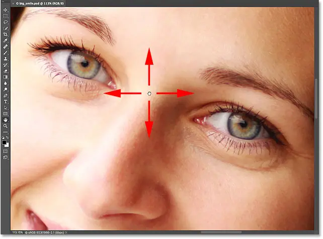 Прокрутите изображение с помощью диска прокрутки в Photoshop.