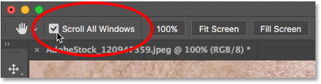 Opción Desplazar todas las ventanas para la herramienta Mano en Photoshop