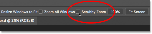 Disable Scrubby Zoom in Photoshop