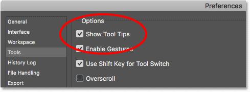 Show tooltips option in Photoshop preferences.