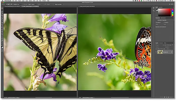 Two images grouped together in a document window in Photoshop.