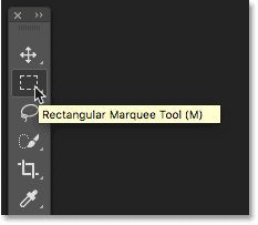 Tooltip Displays the name of a tool in the toolbar.