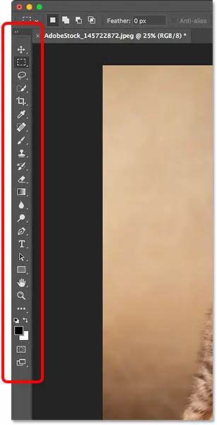 شريط الأدوات على يسار الواجهة في Photoshop.