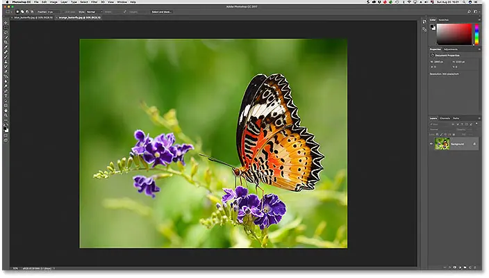 Two images open as tabbed documents in Photoshop.