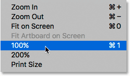 Select the 100% option from the View menu.