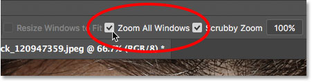 خيار Zoom All Windows لأداة Zoom Tool في Photoshop