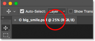 The Document tab displays the image's current zoom level in Photoshop.