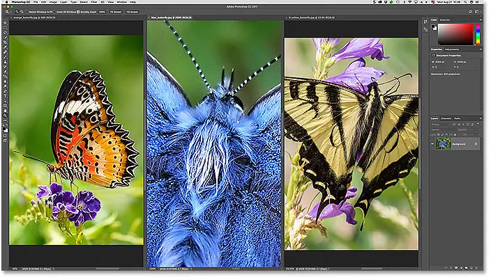 Enlarge an image in a multi-document layout in Photoshop.