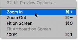 Zoom in and Zoom out options within the View menu.