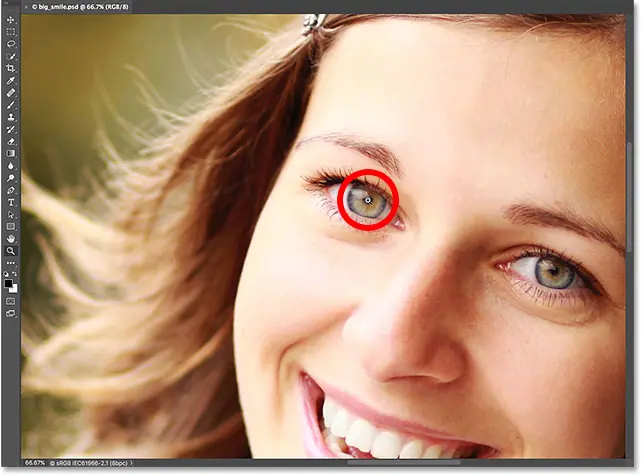 Удерживайте нажатой клавишу «Alt» (Win) / «Option» (Mac) и щелкните инструментом «Масштаб», чтобы уменьшить масштаб.