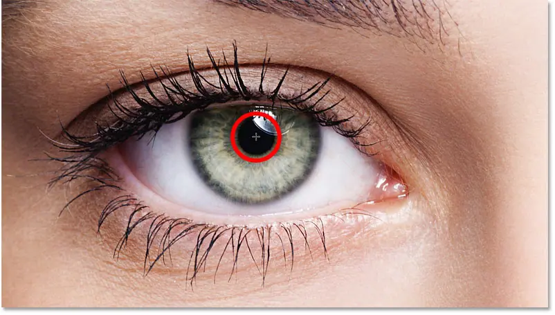 Place the mouse pointer in the center of the eye.