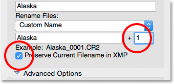 Four-digit extension box and the option to keep the current file name in XMP.