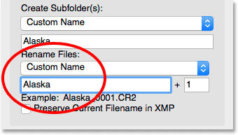 Enter a new custom name for the files.