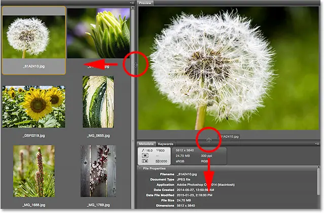Resize the preview panel in Bridge CC. Image © 2015 Photoshop Essentials.com