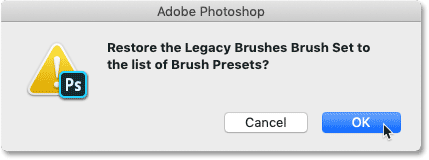 Acceptance of the Legacy Brushes set in Photoshop