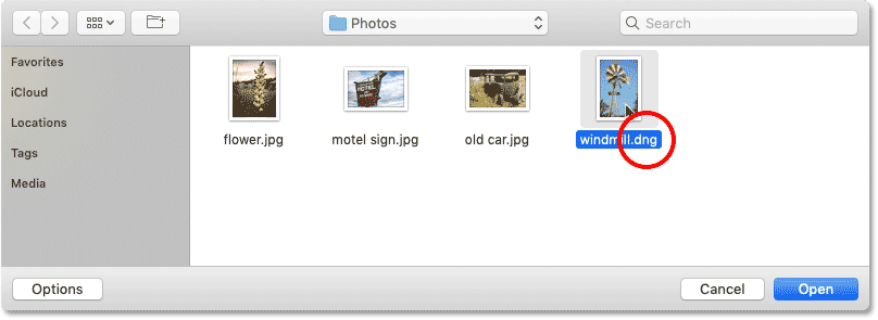 Выберите необработанный файл для открытия в Photoshop.
