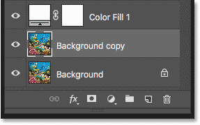 The Background Copy layer appears above the original background layer in the Layers panel