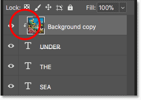 The Layers panel displays the image clipped into a single Type layer