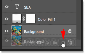 Drag the background layer onto the New Layer icon in the Layers panel