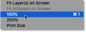 Sélectionnez l'option de zoom à 100 % dans le menu Affichage de Photoshop.