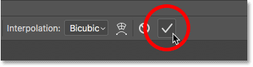 Clicking the check mark in the options bar to close the Free Transform command in Photoshop