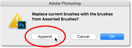 Appends a variety of brushes to the default brushes in Photoshop