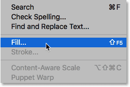Elija el comando Relleno del menú Editar en Photoshop