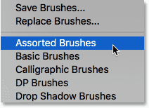 Load a variety of Photoshop brushes