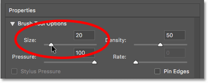 Decrease the brush size in the Liquify filter in Photoshop